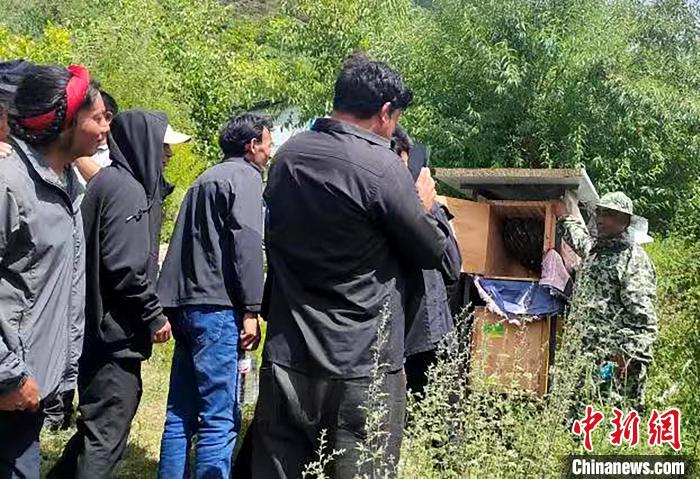拉久西村村民學(xué)習(xí)養(yǎng)蜂工作流程和防范事項?！〔际忻⒖悼h委宣傳部供圖