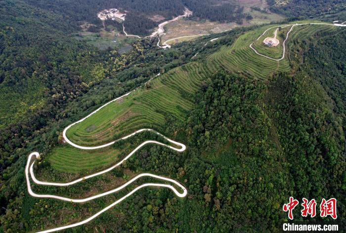 圖為西藏林芝市墨脫縣背崩鄉(xiāng)格林村山頂?shù)木坝^茶園。(無人機照片) 李林 攝