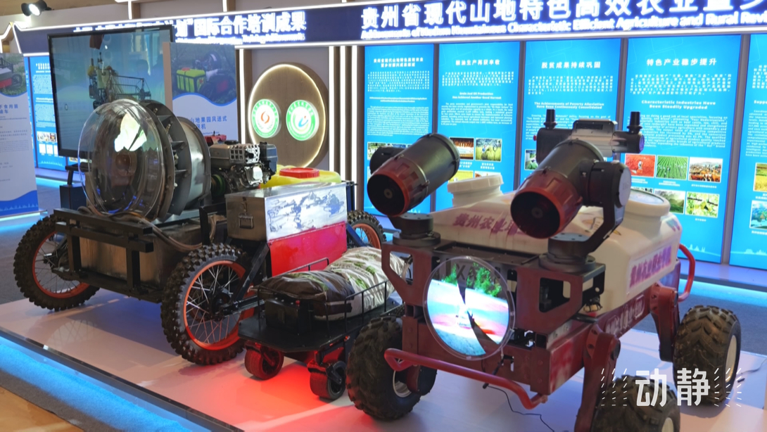展示成果分享經(jīng)驗(yàn)，中國—東盟教育交流周深化合作共創(chuàng)未來！