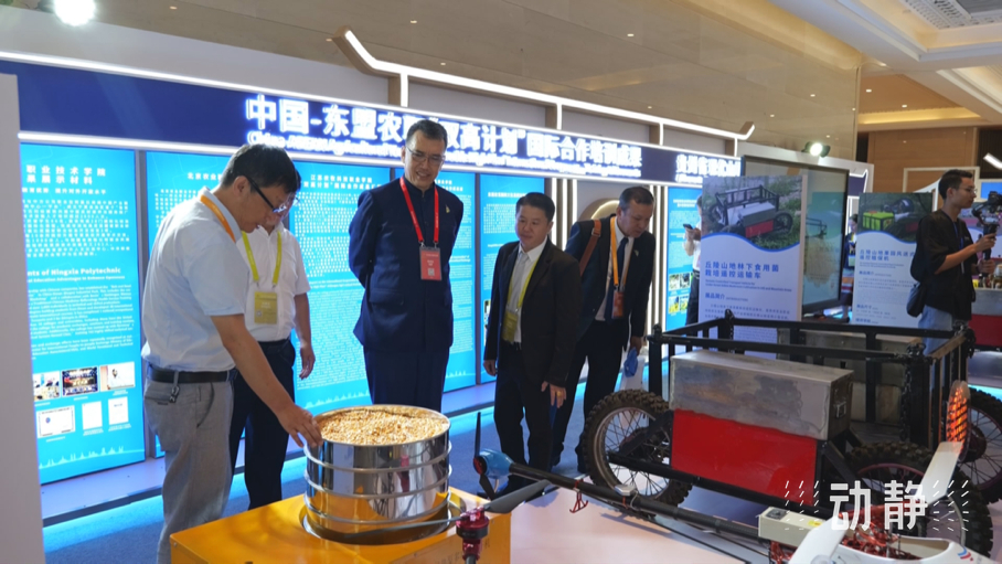 展示成果分享經(jīng)驗(yàn)，中國—東盟教育交流周深化合作共創(chuàng)未來！