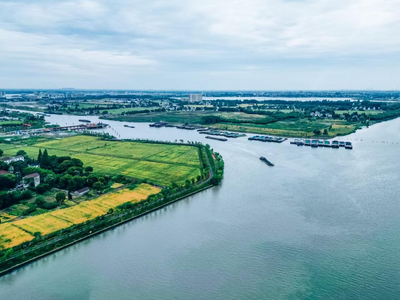 太浦河沿岸好風光。吳橫軒攝