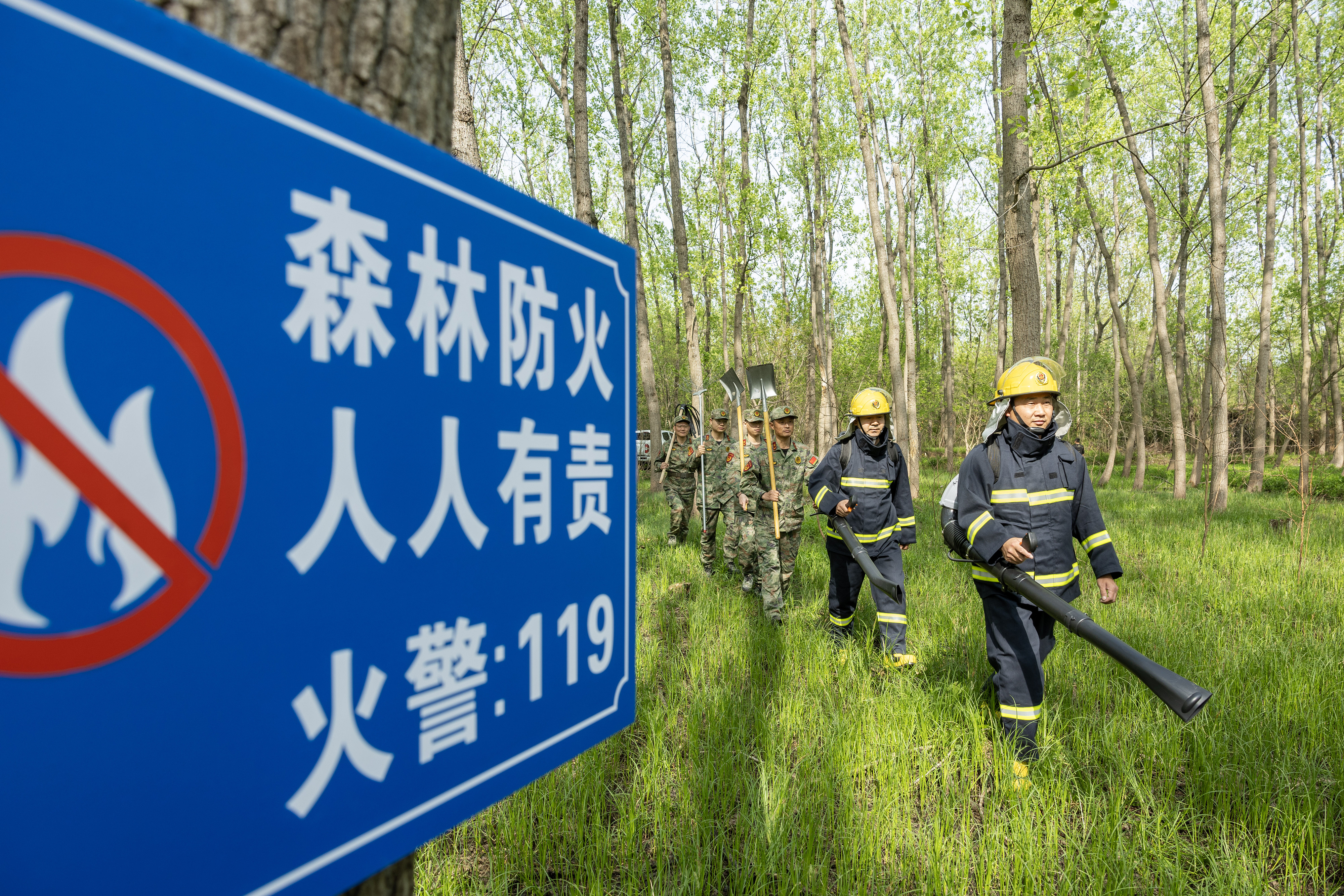 2024年4月9日，合肥市大房郢水庫水源保護(hù)地廬陽經(jīng)濟(jì)開發(fā)區(qū)段，基干民兵正在林間巡查火災(zāi)隱患。