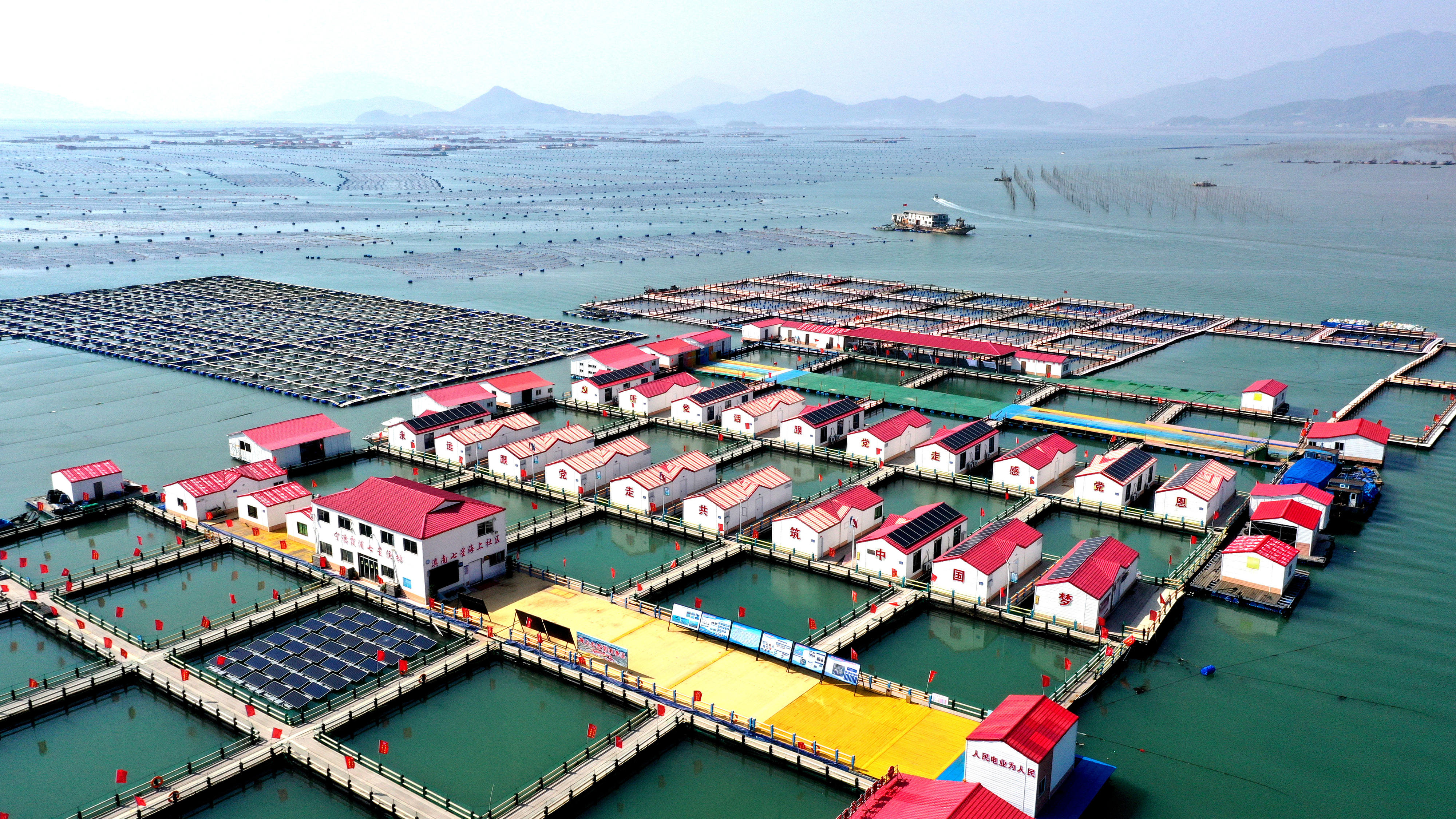 2024年3月20日，福建省寧德市，霞浦縣溪南鎮(zhèn)七星村漁排養(yǎng)殖示范區(qū)，漁民駕駛養(yǎng)殖船進(jìn)行海參養(yǎng)殖作業(yè)。