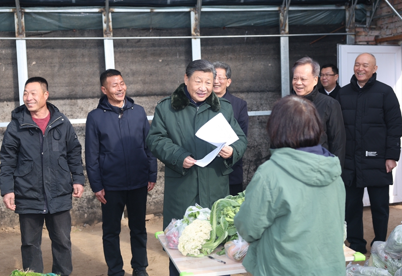 2024年2月1日，習近平總書記在天津市西青區(qū)辛口鎮(zhèn)第六埠村，走進大棚同菜農(nóng)親切交流。