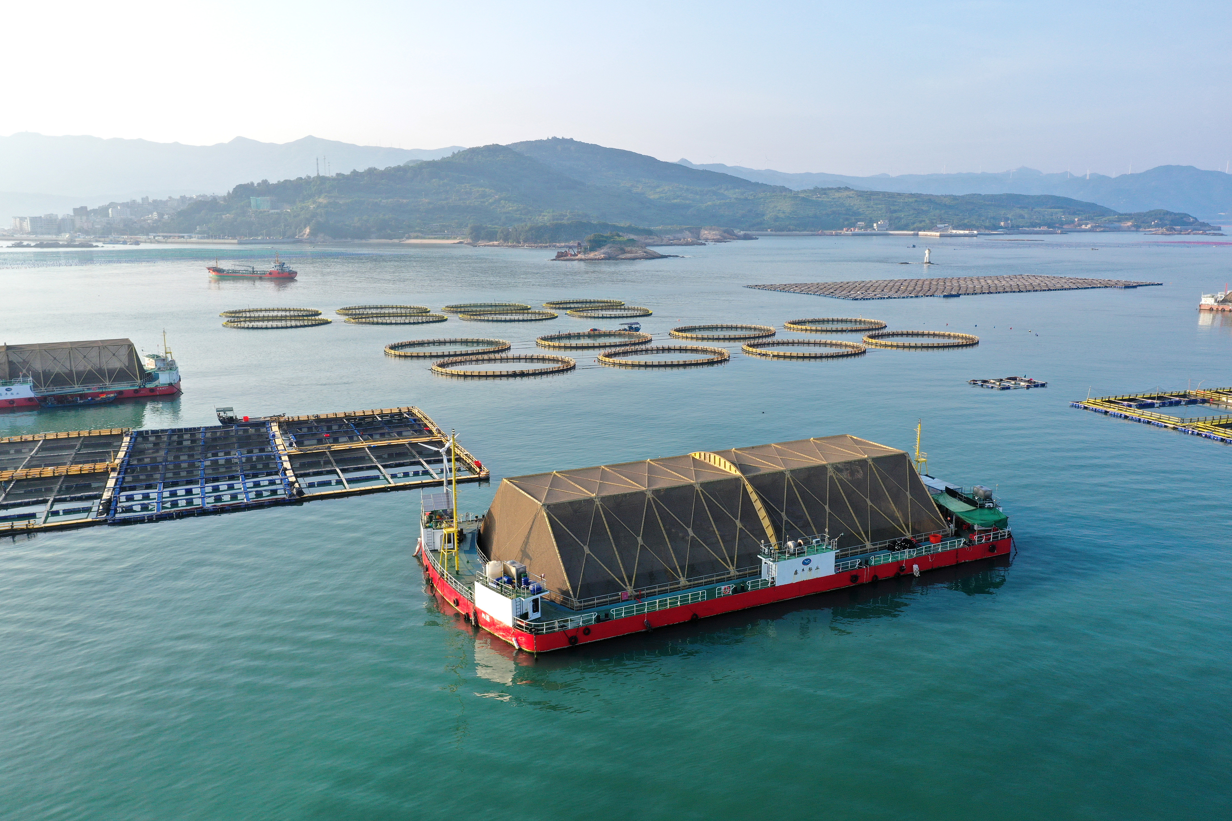 2024年9月10日拍攝的福建省福州市連江縣定海灣海域的現(xiàn)代化“海上糧倉”。
