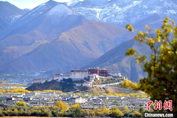 10月24日，雪山、布達(dá)拉宮和秋色組成“風(fēng)景畫”。　江飛波 攝