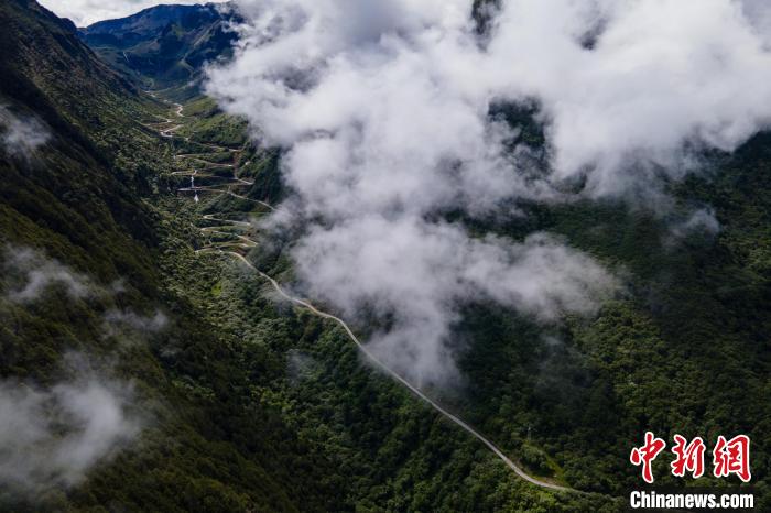 西藏山南勒布溝景區(qū)的盤山公路被云霧環(huán)繞?！〗w波 攝
