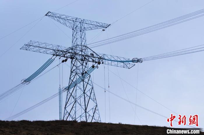 高原藏區(qū)電力線路建設(shè)者：高寒缺氧、扎刺掛彩是常事