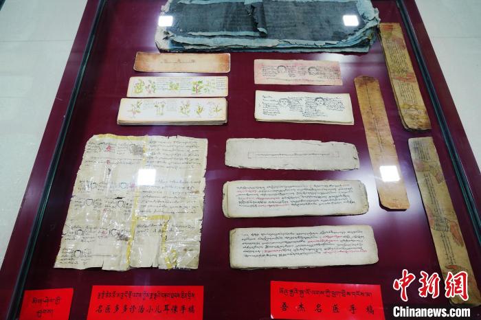 圖為藏醫(yī)古集文獻(xiàn)和藏醫(yī)臨床原始手稿。　馬銘言 攝