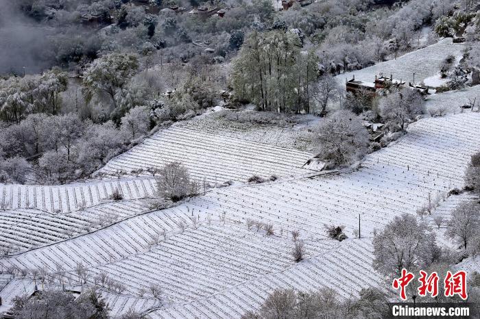 雪后的高山田間如畫?！±钣腊?攝