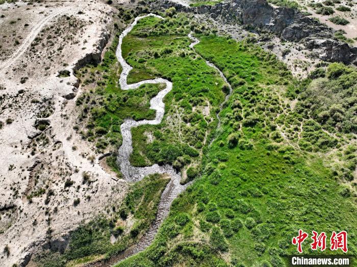 圖為航拍都蘭湖國(guó)家濕地公園綠意盎然?！∑钤鲚?攝