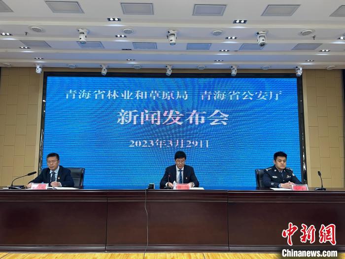 青海去年占用林地、草地準(zhǔn)予許可件同比實(shí)現(xiàn)“雙減”