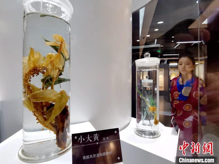 青海中藏醫(yī)藥發(fā)展提速：建設(shè)一批重點(diǎn)?？茖W(xué)科，推廣一批適宜技術(shù)