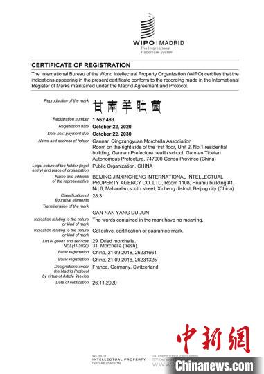 圖為“甘南羊肚菌”國(guó)際商標(biāo)注冊(cè)證書。(資料圖) 甘南州市場(chǎng)監(jiān)管局供圖