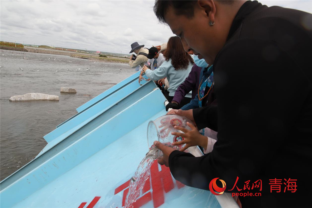 群眾放流青海湖裸鯉。人民網(wǎng) 陳明菊攝