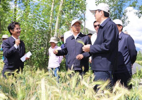 全國表彰大會(huì)上，為什么只有他沒到？