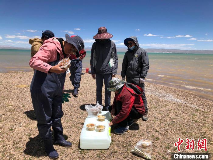 科考隊員在高原湖泊岸邊進(jìn)餐。　<a target='_blank' ><p  align=