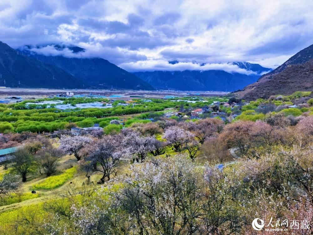 桃花從中的“童話小鎮(zhèn)”。人民網 李海霞攝