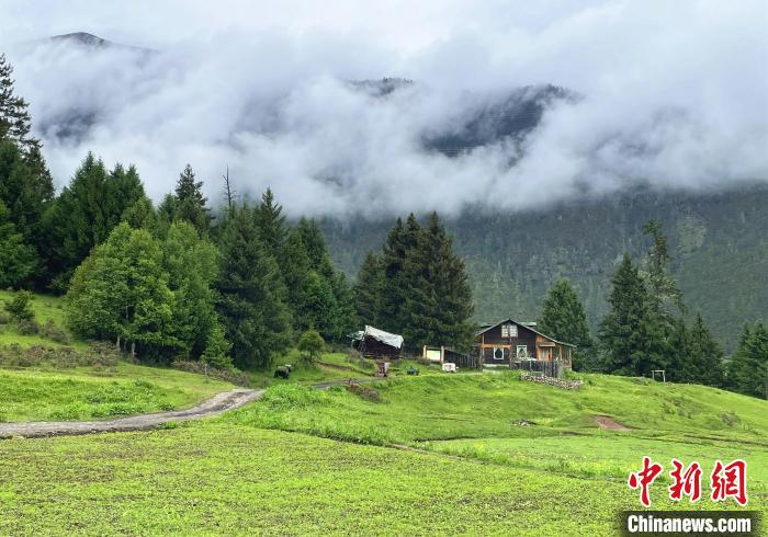 6月10日，魯朗小鎮(zhèn)高山牧場景區(qū)風光?！∪轿木?攝