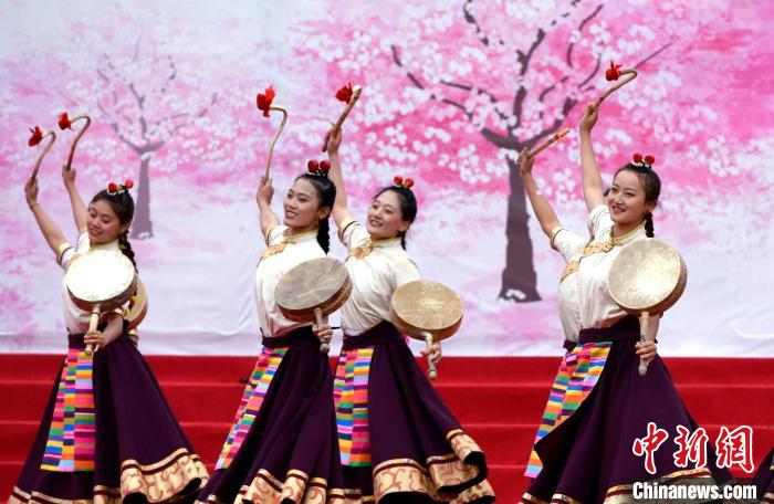 3月28日，西藏林芝第二十屆桃花旅游文化節(jié)開幕式上的文藝表演?！±盍?攝
