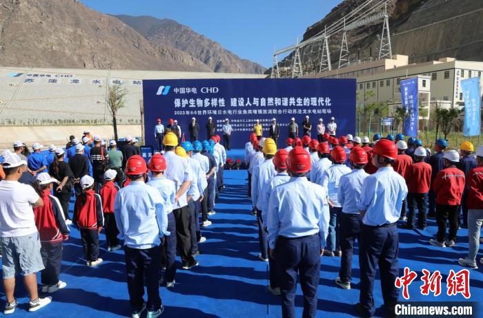 圖為蘇洼龍水電站魚類放流現(xiàn)場。　蘇洼龍水電站供圖
