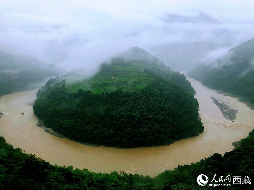 雅魯藏布江大峽谷蛇形拐彎處，山坡上種滿茶樹。