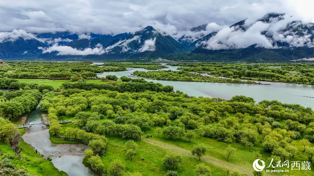 鳥瞰盛夏季節(jié)的雅尼濕地風光。人民網(wǎng)記者 次仁羅布攝