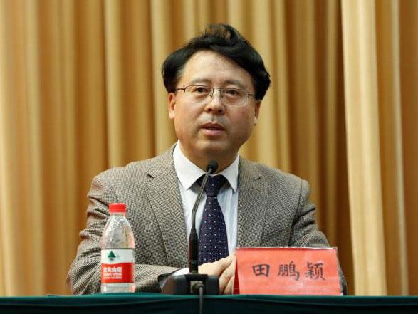 田鵬穎：投入其中、樂在其中、安身其中